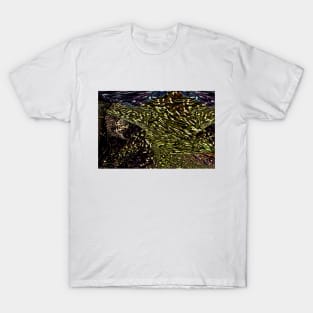 Sea Star on the Seabed T-Shirt